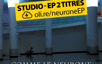 Comme le neurone d’une blonde / Le carnet (EP) – Olivier van Helden